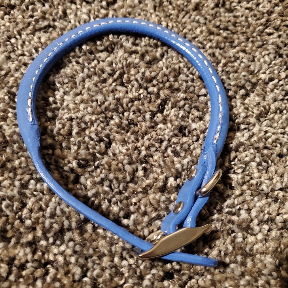 Auburn dog collar